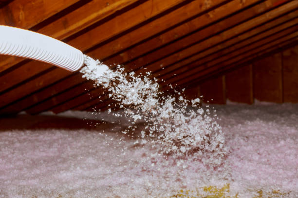Best Energy Efficiency Insulation in Mountain View, HI