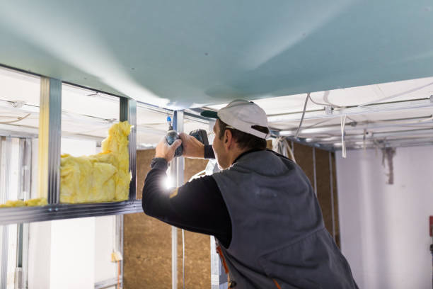 Best Commercial Insulation in Mountain View, HI