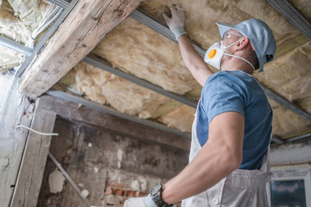 Best Geographic-Specific Insulation Services in Mountain View, HI