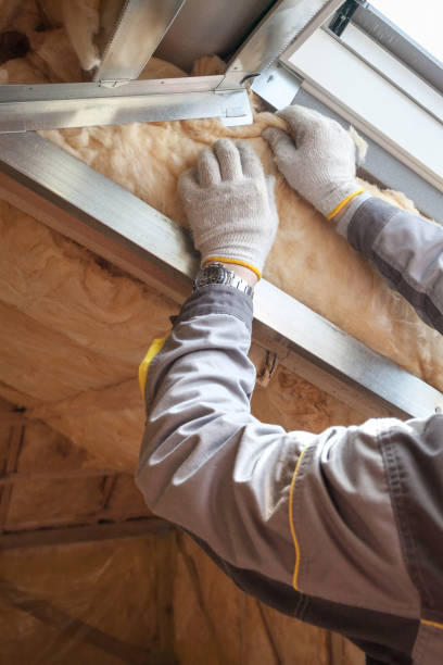 Best Commercial Insulation in Mountain View, HI