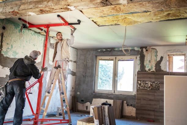Best Insulation Maintenance and Repair in Mountain View, HI